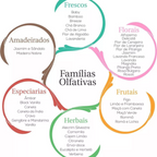 Kit de Essências Hidrossolúveis - Viva Essência