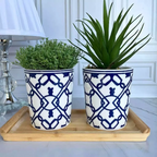 Cachepôs Decorativos - Porto & Jardim