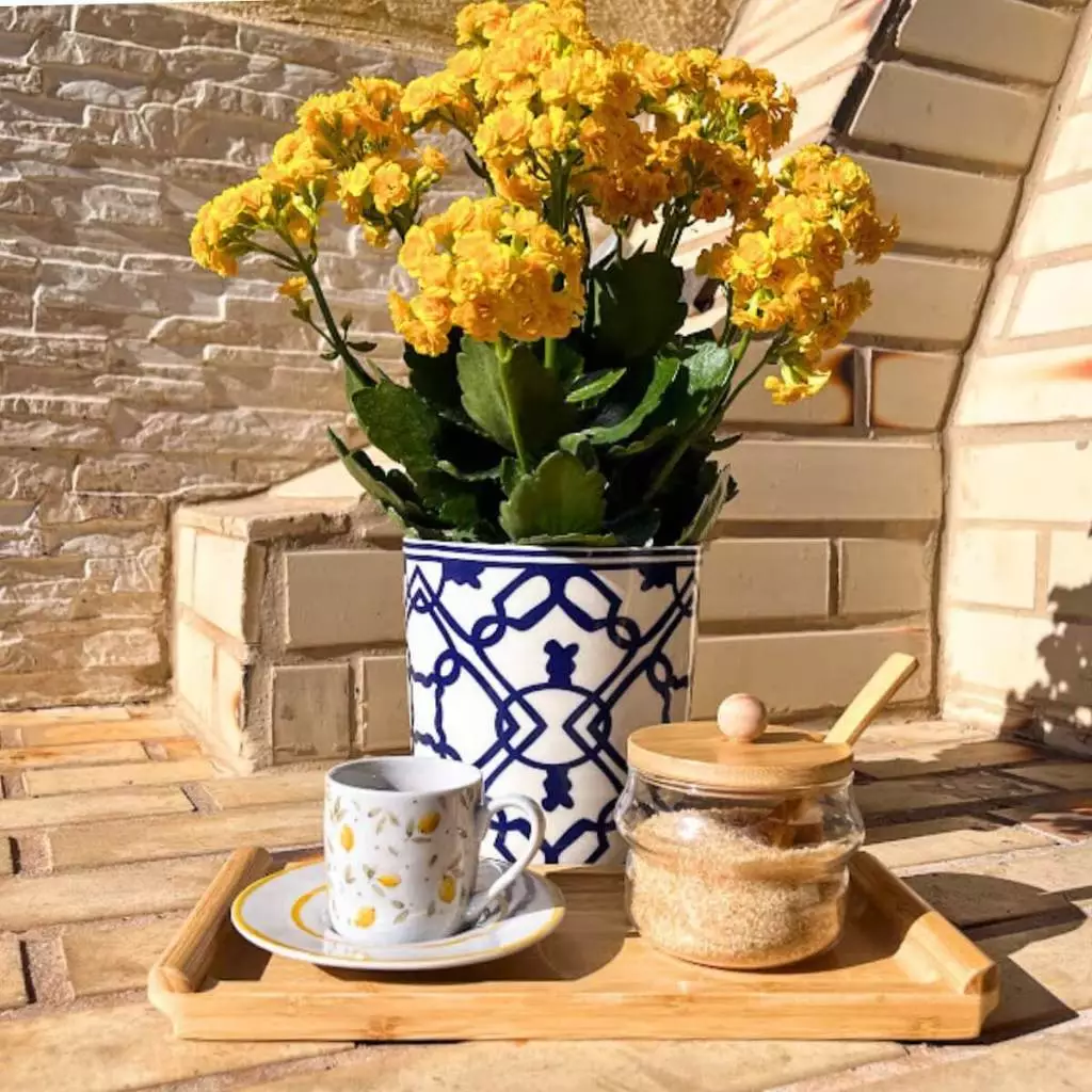 Cachepôs Decorativos - Porto & Jardim