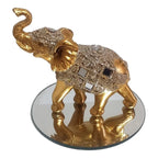 Elefante Golden Maharaja